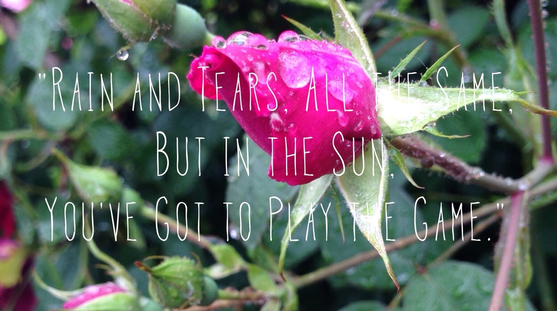 Colored Photograph of Rose Bud with Lyrics from Rain and Tears by Aphrodite's Child.